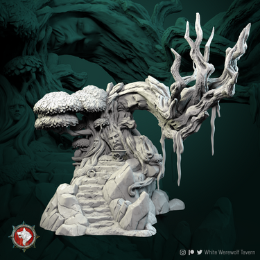 Ancient Tree